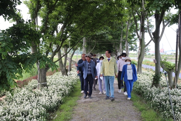 2022.06.16 도초면 팽나무 숲 및 수국공원 현장방문 3