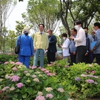 2022.06.16 도초면 팽나무 숲 및 수국공원 현장방문