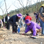 20230307_제78회 나무심기 행사