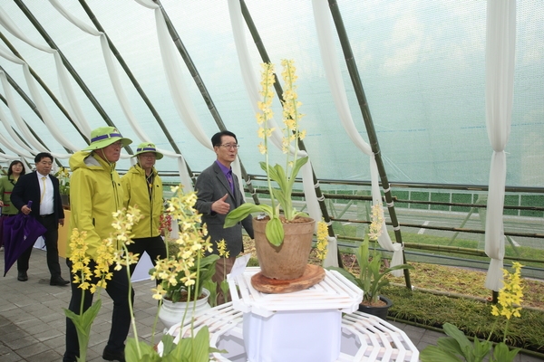 2023.04.14  전국 새우란 축제 방문(자은 뮤지엄파크) 6