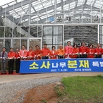 2023. 07. 08   압해 분재정원-2023 소사나무 분재 특별전