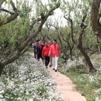 2023. 10. 14   임자면-튤립 홍매화정원 현장점검