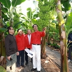 20231101_비금면-바나나 재배시설 방문