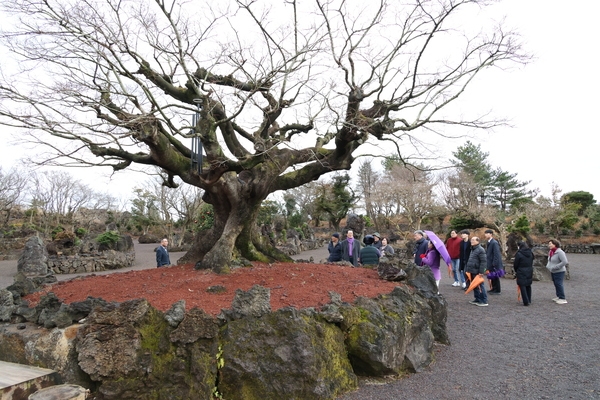 2025.02.15_ 제주도 정원 선진지 견학(돌낭예술원) 3
