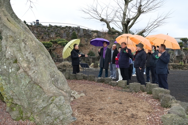 2025.02.15_ 제주도 정원 선진지 견학(동화마을 송당 스타벅스 정원) 6