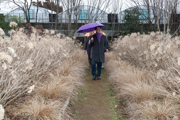 2025.02.15_ 제주도 정원 선진지 견학(카페 베케 정원) 6