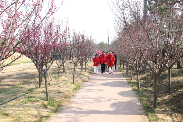 2025.03.06_ 홍매화 축제 개막식 4