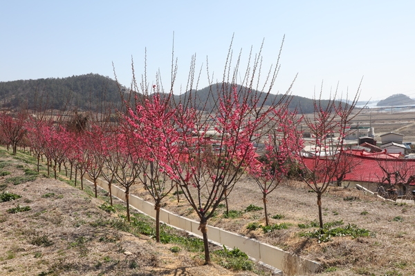 2025.03.14._ 조희룡적거지 현장방문 3