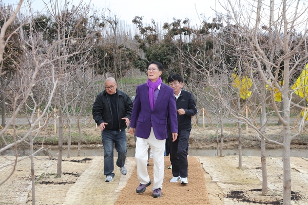 2025.03.15._ 1004뮤지엄파크 목련전시관련 현장점검 2