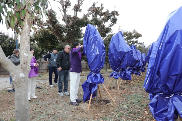 2025.03.15._ 1004뮤지엄파크 목련전시관련 현장점검 3