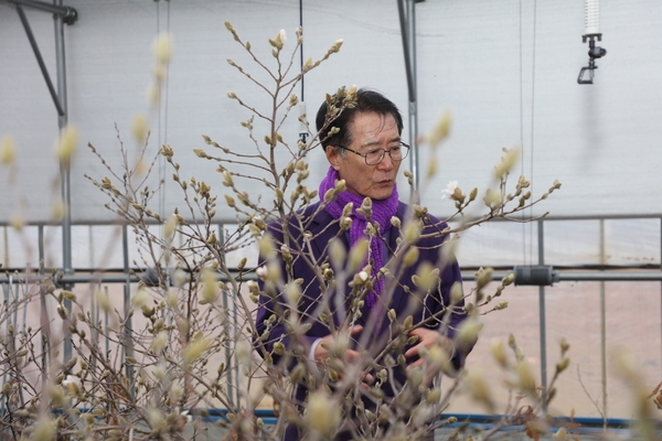 2025.03.15._ 1004뮤지엄파크 목련전시관련 현장점검 4