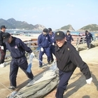 환경정화하며 흑산면민과 함께해요 ...해군 3함대, 흑산도 일대 환경정화실시