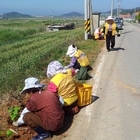 압해읍 해안산책로 꽃길 조성