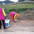 지도읍, 자전거길 꽃씨 심기 행사 가져..'해변도로 명품 꽃길 조성으로 관광객에 ...