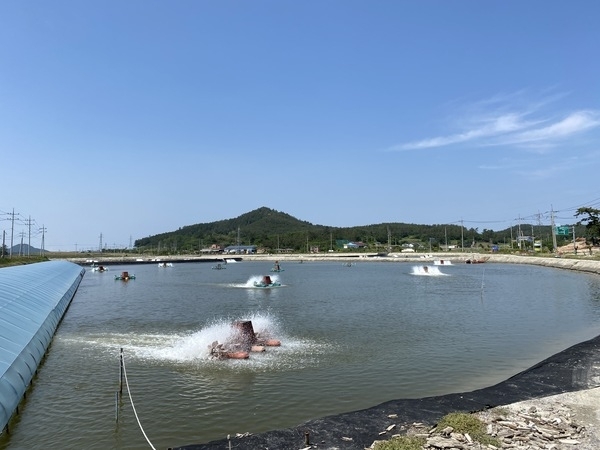 신안군! 친환경 왕새우양식을 위한 배출수 및 갯벌퇴적물 검사 실시1