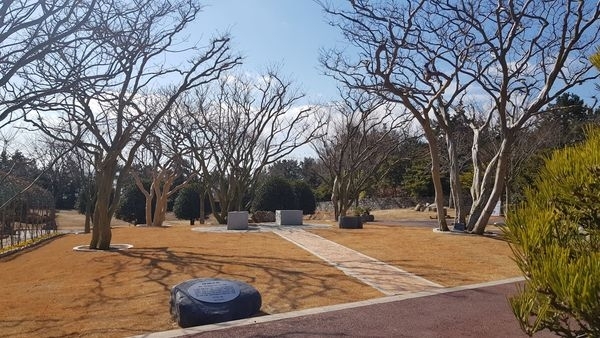 신안군, 천사섬 분재공원내『松岩 배롱나무 정원』조성..'다간(多幹)의 명목(名木) 배롱나무 정원'1