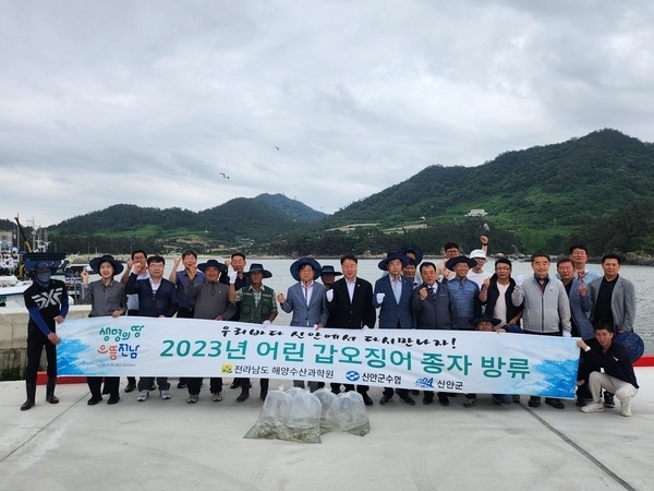 신안군, 어린 갑오징어 5만마리 방류..'고소득 품종(갑오징어) 방류로 어가소득 기대'1