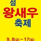 신안군! 팔금도에서 섬 왕새우 축제 개최..'살아서 펄떡펄떡 뛰는 싱싱한 왕새우 ...