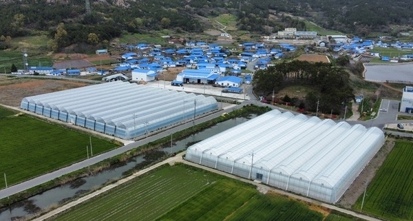 신안군, 청년 농업인 경영실습 스마트팜 임차인 모집..'청년 창업농을 위한 스마트팜 임대농장 모델 구축'1