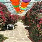 신안군, ‘섬 겨울꽃 축제’ 기간 연장..'새해 희망 담은 동백꽃과 함께하세요'