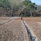 겨울 수목 보호를 위한 물주기 작업 시행