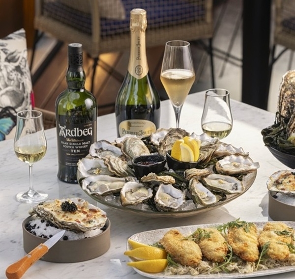 신안군, 미슐랭 셰프들이 반한 프리미엄 1004굴..'1004굴, 자연·예술·미식이 어우러진 신안의 대표 브랜드'1