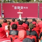‘2025 섬 홍매화축제’기다림 끝에 개막!