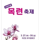 신안군, 피아노의 섬 자은도 목련 축제 열린다!..'목련꽃 품은 피아노의 섬 자...