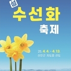 '봄의 정령 수선화! 신안으로 보러 오세요'..30년 전 한 여인의 손끝에서 시작...