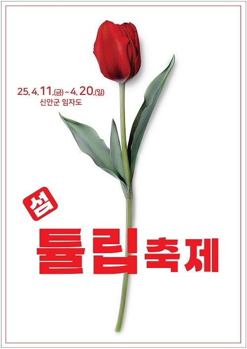 신안군, ‘2025 섬 튤립축제’개최.. 홍매화의 열기에 이어 튤립으로 물드는 섬'1