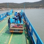 신안군! 다이아몬드 해역 바다낚시터 조성 가속화..'어초투하, 해조류 이식, 종자...