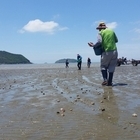 신안군! 기후변화에 맞춘 우량 수산종자 방류 본격 시작..'수산자원량 회복과 어업...