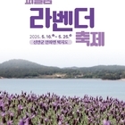 ‘유엔(UN)’ 인정 최우수 관광마을 퍼플섬!!!..보랏빛 향기로 일렁이는 라벤더...