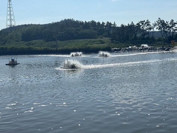 신안군 새우양식장, 4억 마리 종자 입식 완료1