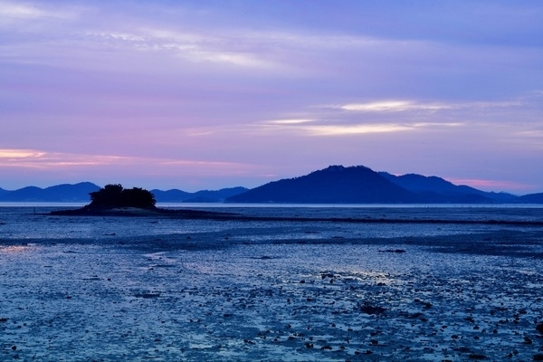 섬과 예술이 만난 순간, 신안 신의도·하의도의 찰나를 담다..'남도풍경연구소·신안섬의 자연과 일상, 다채로운 풍경 카메라에 담아'1