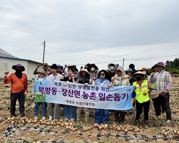 신안군 장산면, 목포시 북항동과 ‘무더위 속 농번기’ 함께 극복..도·농 상생 교류로 양파 수확 봉사 활동 펼쳐1