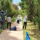 신안 홍매화, 축제 넘어 여름 매실로…'주민과 빚어내는 ‘사계절 정원’의 이야기'
