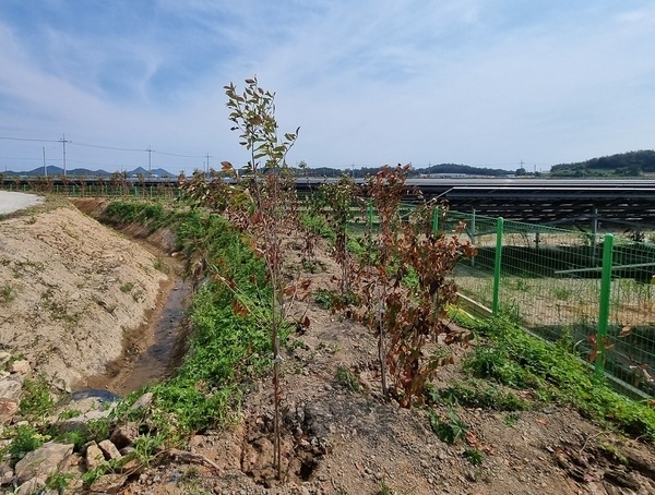 신안군, 차폐식재 예치제도 도입으로‘지속가능한 녹색경관’조성1