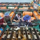 신안군, ‘고수온 주의보’ 발표에 양식어가 피해 최소화 총력 대응..'고수온 대응...