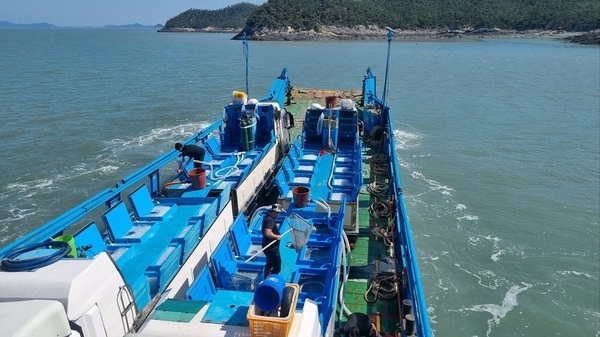 자원은 살리고, 관광은 키운다. 다이아몬드 해역에 조피볼락 35만 마리 방류..'수산자원 회복을 통한 어업인 소득 향상과 낚시 관광 활성화 기대'1