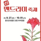 신안군, ‘변치 않는 사랑의 꽃밭’ 2025 섬 맨드라미 축제 개최!..'푸른 바...