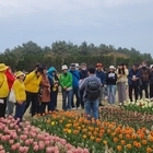	신안군, 정원해설사 심화과정 교육생 모집..'특색 있는 1004섬 정원이야기 전...
