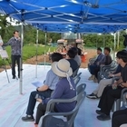 신안군, 고올레산 땅콩 신품종 기계수확 본격화..22일 자은도에서 신품종 ‘해올’...