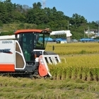 신안군, 벼 깨씨무늬병 확산 방지를 위한 적기수확 지도 강화!..'고온다습한 이상...
