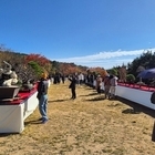 2025 ABFF 컨벤션&대한민국 분재 대전 성황리 폐막..'신안군, 세계 분재 ...