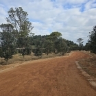 신의면 가락공원 황토맨발길 조성..'붉은 애기동백으로 물들어, 꽃길만 걷자'