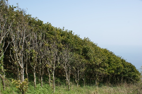 사랑터널이 있어요~~~ 2