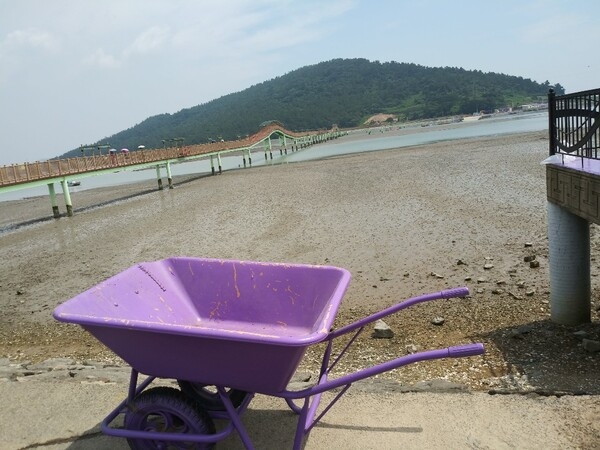  신안 다이아몬드제도 버스투어를 마치고 2