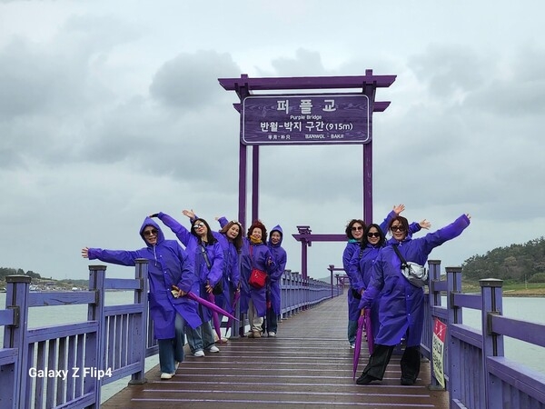 바람부는 날 퍼플섬 점령 2