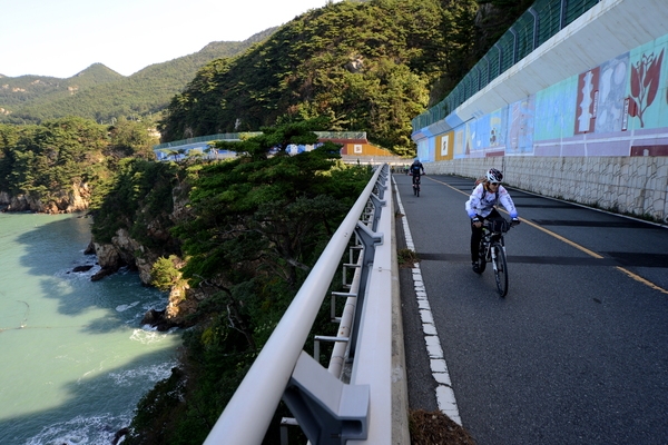 천도천색 천리길 자전거 투어-흑산도편3 5